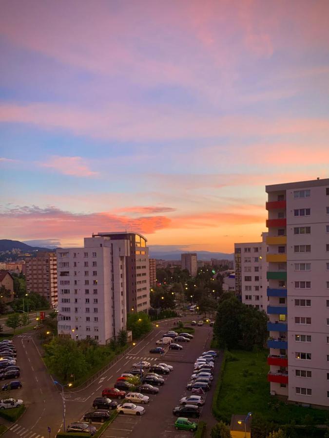 Blue Mountain Residence Braşov Buitenkant foto
